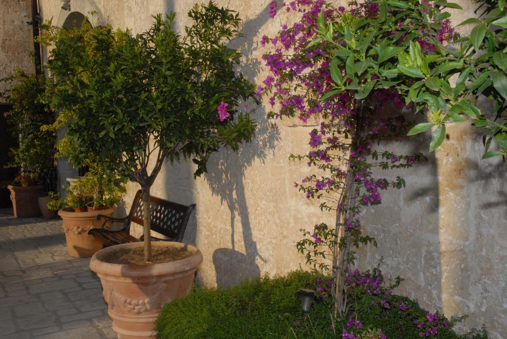 Castello Conti Filo Bed & Breakfast Torre Santa Susanna Ngoại thất bức ảnh